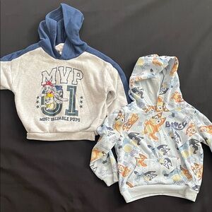 Paw Patrol and Bluey Hoodie Set